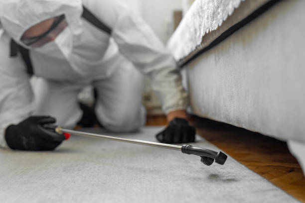Professional Pest Control technician working in Red Lodge, MT