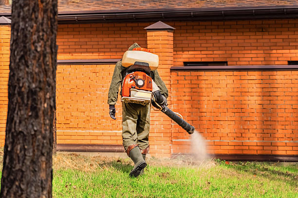Trusted Termite Control service in Red Lodge, MT - Nex Pest Control